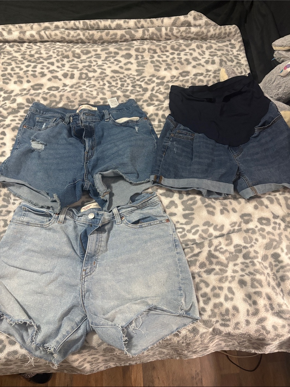 Womens shorts bundle